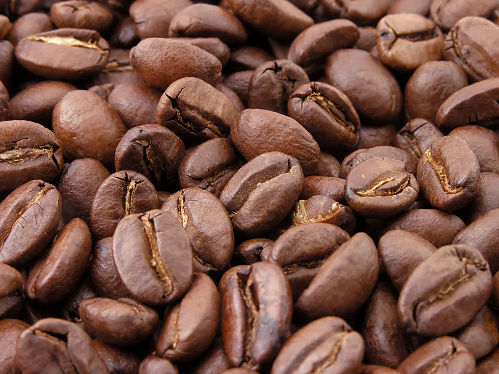 Hạt cà phê Arabica đã rang